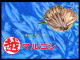 ��t�����q�s �z�쏤�X�|�z�b�P�A�T�o�A�T���}�A���� �l�b�g�̔�