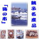 �C�Y���̐����E���E�̔��E�Ђ��́E�������E�����E�C���E���h�E�ώρE�M�t�g���i�E�L����Ѝ������X